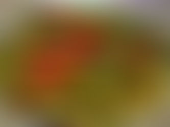 ভিন্ডি - কারি