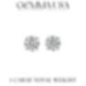 Lab Diamond Stud Earrings 1 carat total weight