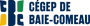 cropped-CEGEPBC-logo-horizontal_v3.png
