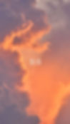 1111.jpg
