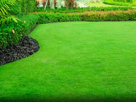 How Much Does Lawn Care Insurance Cost for a Solo Operator?