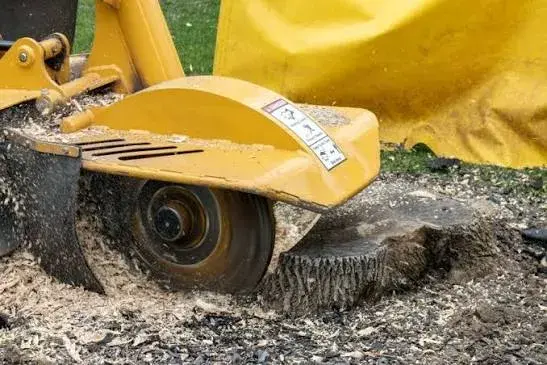How Much Does Stump Grinding Insurance Cost?