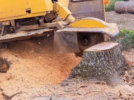 Is a Stump Grinding Business Profitable? Equipment and Margins