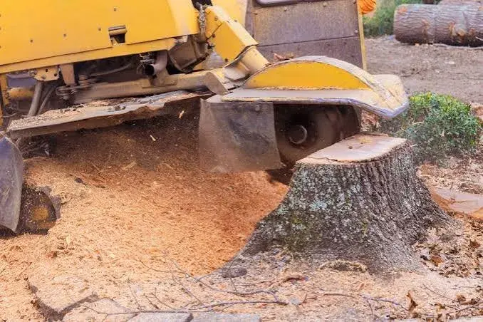 Is a Stump Grinding Business Profitable? Equipment and Margins