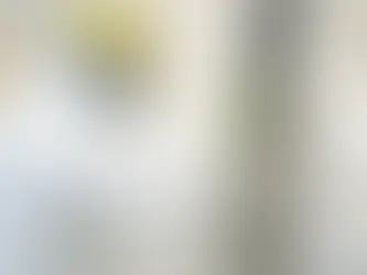 Texas Mold Remediation Business Startup Cost Guide (Equipment, Certifications & Labor)