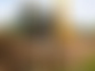 How To Get an Insurance Quote for a Directional Drilling Contractor