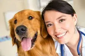 What Does Veterinary Practice Insurance Not Cover? Key Exclusions