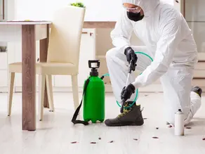 Best Measuring Tools for Pest Control Treatment Accuracy