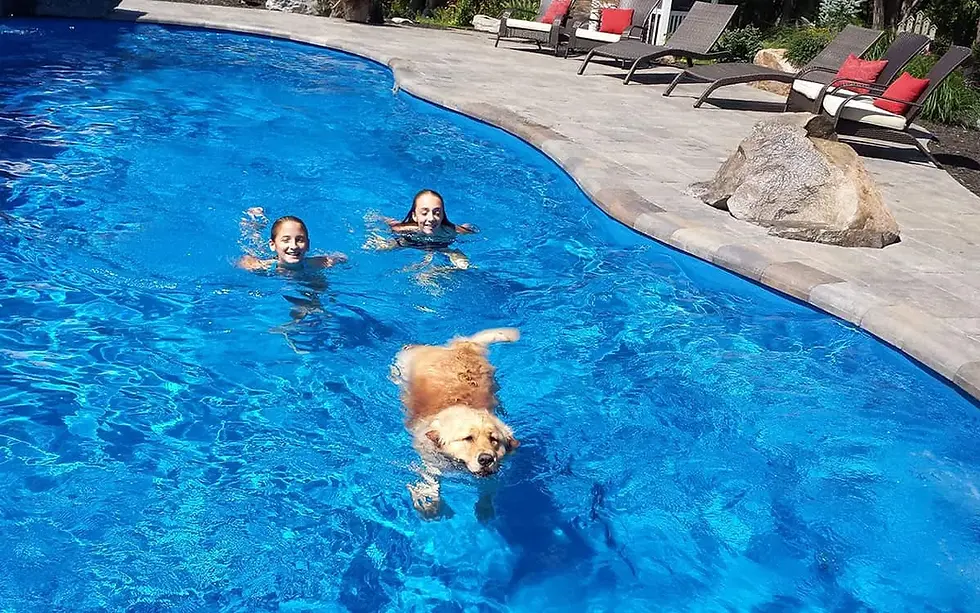 Best Pressure Testing Kits for Pool Plumbing Leak Detection
