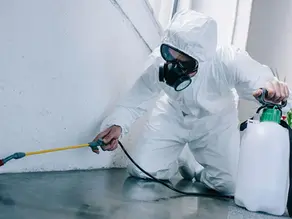 Best Ant & Roach Treatment Tools for Pest Control Professionals