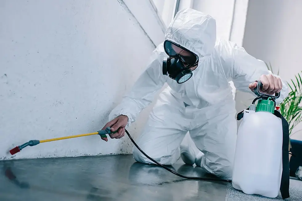 Best Ant & Roach Treatment Tools for Pest Control Professionals