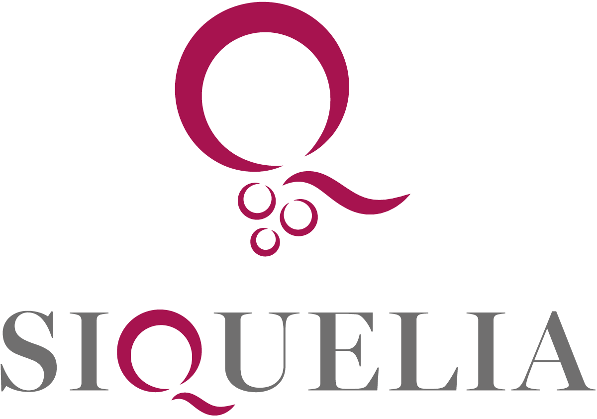 logo-siquelia-vinidisicilia-1.png