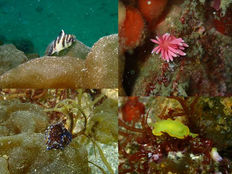 西伊豆土肥ツアー