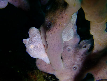 4月17日 勝山ツアーへ行ってきました!
