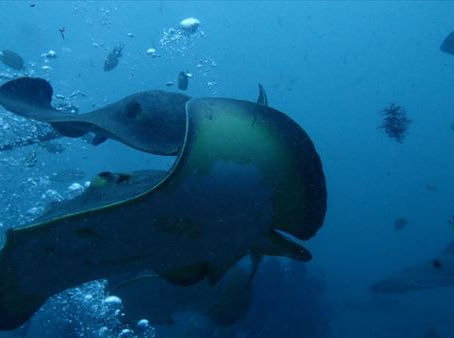 伊戸&西川名ツアーへ行ってきました♪