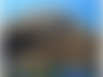 DiveAward 西表島ツアー