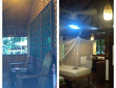 パプアニューギニア キンベ ワリンディツアー