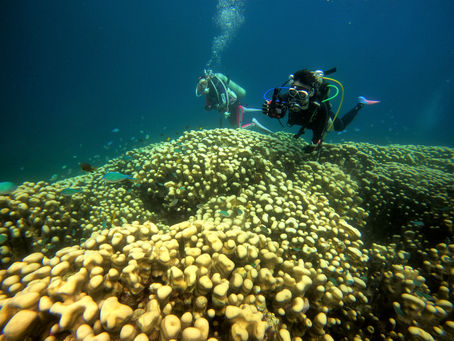 DiveAwardうるま&糸満&恩納村ツアー 9日間