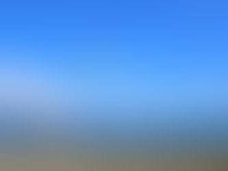 DiveAward 清水三保へ視察ダイビングへ行ってきました!! 11月28日