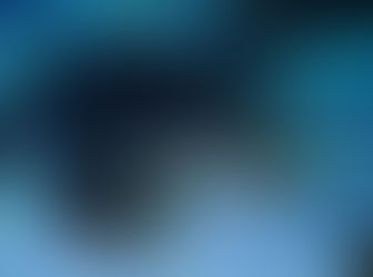 ＤｉｖｅＡｗａｒｄアクアリウムダイビング　2021年4月18日