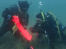 6月の岩&伊豆山ダイブへいってきました~!!