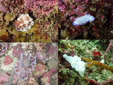 5月外房ツアーへ行ってきました♪