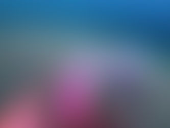 DiveAward 2023年7月17日 波左間ツアー