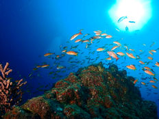 2023年11月3日~5日堂ヶ島・田子・雲見