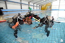 DiveAward