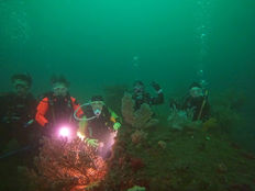 4月23日〜24日 伊東・熱海ツアーへ行ってきました!