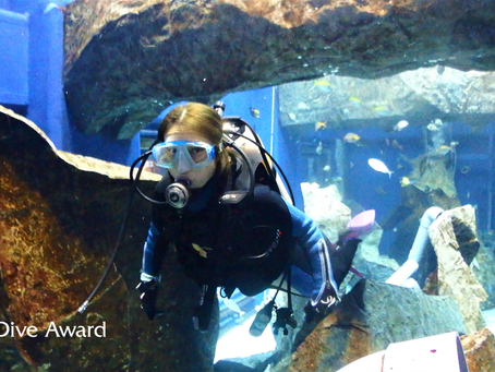 ＤｉｖｅＡｗａｒｄ　大水槽リフレッシュ練習会！！2021年1月16日