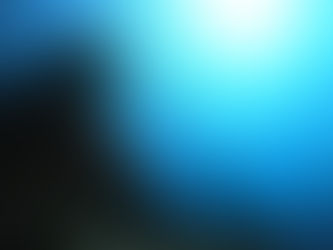 DiveAward 田子・雲見ツアー 2023年9月2日~3日