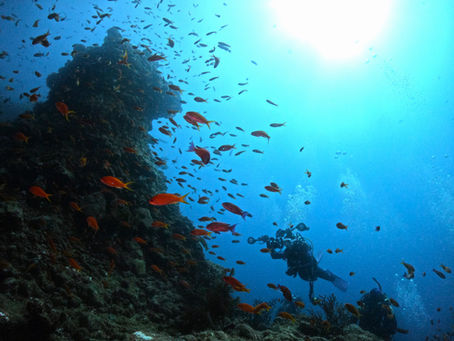 DiveAward 田子・雲見ツアー 2023年9月2日~3日