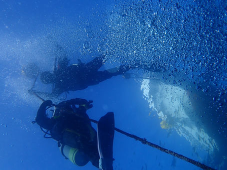 12月11日 宮川湾ツアーへ行ってきました!
