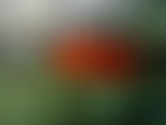 平日かっちゃまツアーへいってきました