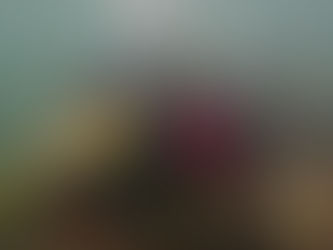 千葉内房ツアーへ行ってきました~(^^)/