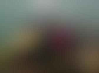 千葉内房ツアーへ行ってきました~(^^)/