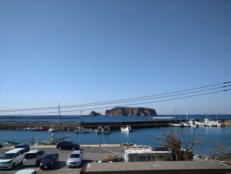 2021年2月11日 とにかく近い!!!かっちゃまツアーへ行ってきました♪