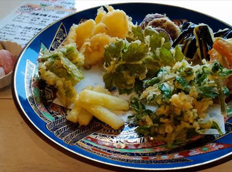 西表島ツアー 2020年6月25日~28日