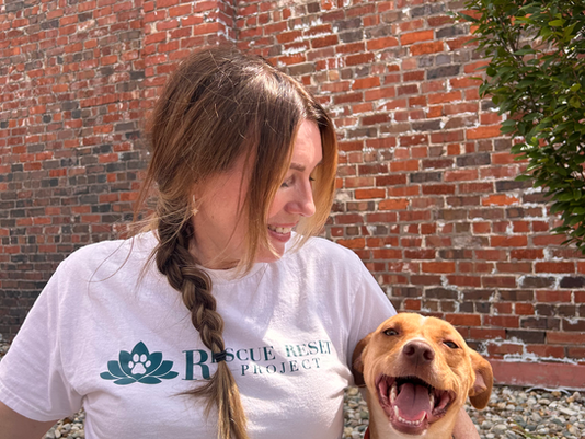 Meet Joshua: A Gentle Soul Ready for a Home
