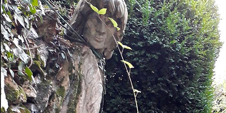 Tavistock Curiosities 16th August