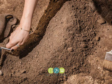 Volunteers set out to rediscover Tavistock Abbey