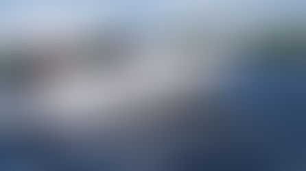 emili motorine valtis