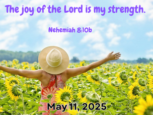 Joy of the Lord