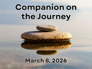 Wayfaring stones sitting in a shallow river.