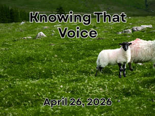 Knowing That Voice
