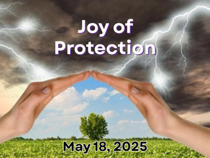 Joy of Protection