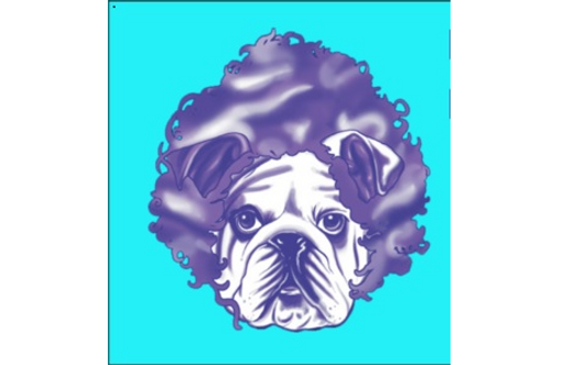 Hair of the Dog Pet Spa