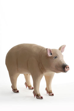 PERLE AI PORCI h 100 cm tecnica mista su polistirolo e scarpe