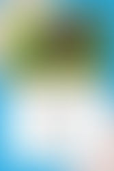 Mine, Mine Mine - Resource Guarding